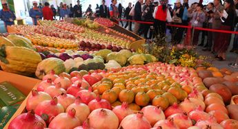 農(nóng)產(chǎn)品預(yù)售系統(tǒng)技術(shù)賦能土特產(chǎn) 從田間到餐桌的智慧橋梁